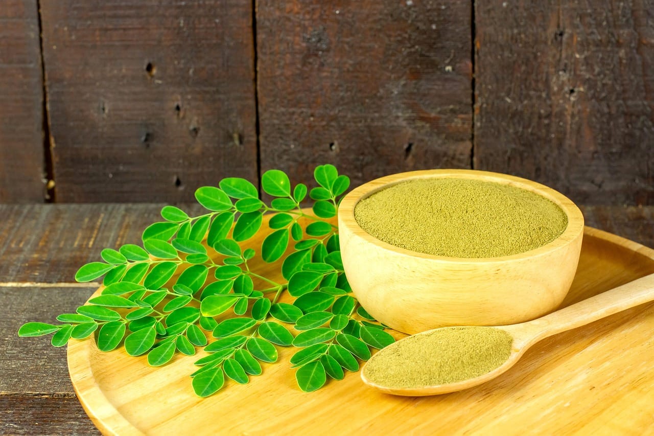 moringa, moringa oleifera, moringa powder, healthy, food supplement, tea, vegan, superfood, moringa, moringa, moringa, moringa, moringa