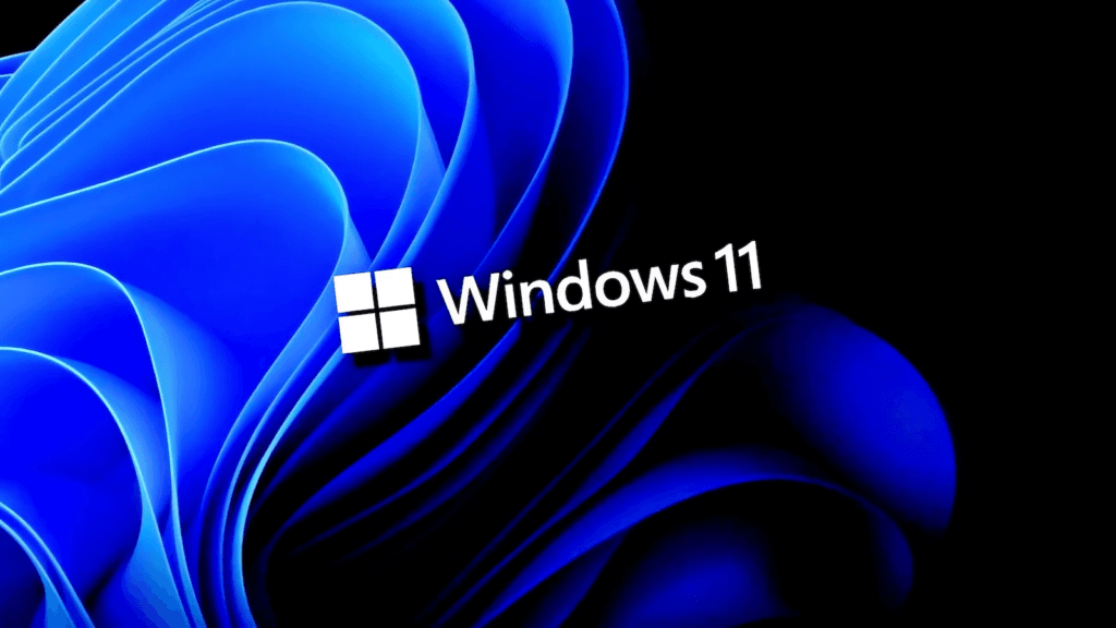 MS Windows 11